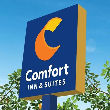 Comfort Inn & Suites Texas City Kültér fotó